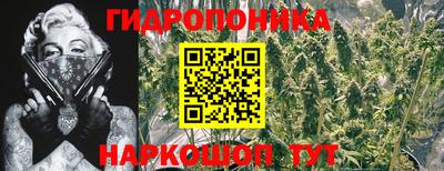герыч Дубна