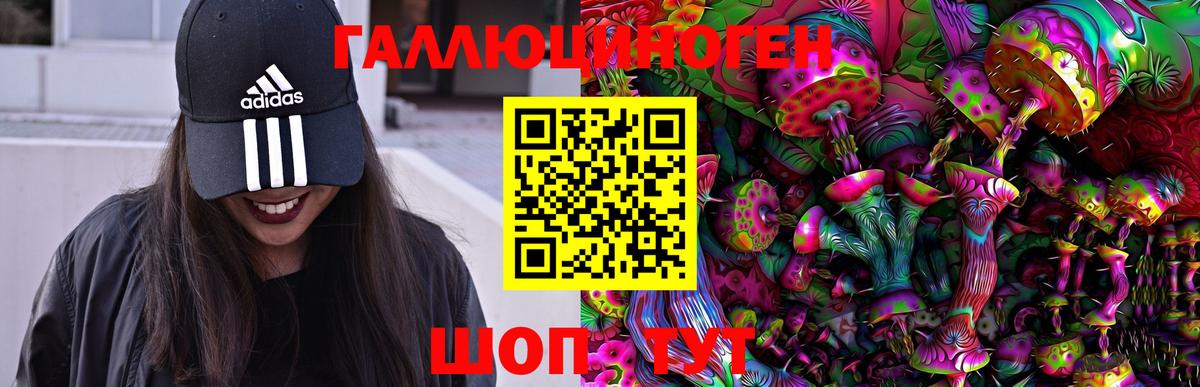 Курчалой  Псилоцибиновые грибы Psilocybine cubensis  Галлюциногенные грибы Psilocybine cubensis  Вход с VPN 